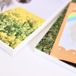 多彩な小道具と背景で作るキャンバスプリントの魅力